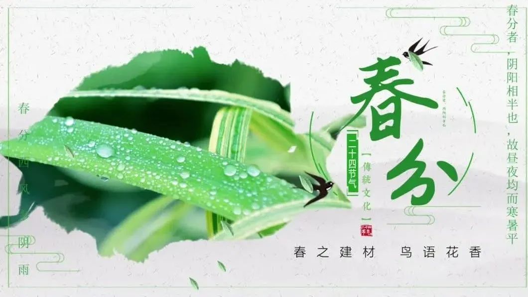 今日春分 | 春之建材，莺啼燕语